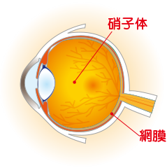痛い 光 奥 が が の 眩しい 目 「眩しい」「目が痛い」…眼球が原因でないなら、精神病か仮病！？